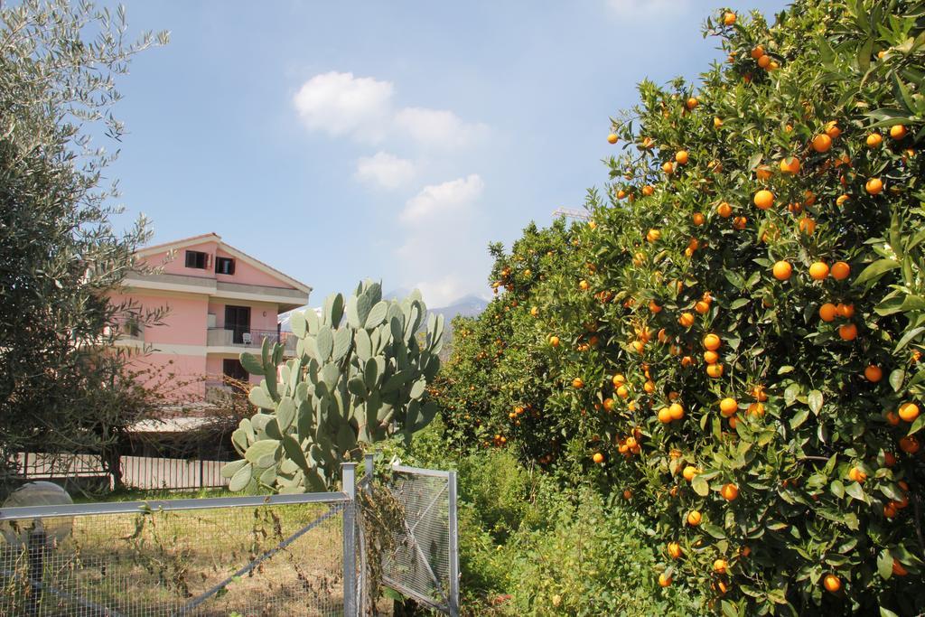 Villa Gli Aranci Dell'Etna à Mascali Extérieur photo